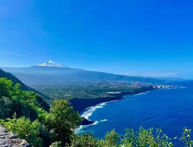 Casa Vistazul لا أوروتافا